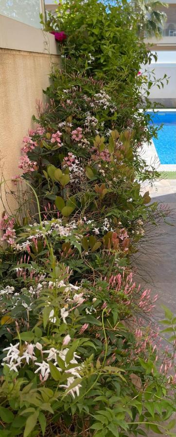 Villa Azul Сан Педро дел Пинатар Екстериор снимка